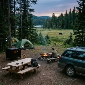 Campground attractants prevention